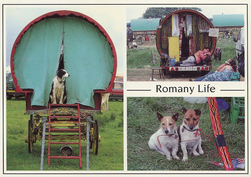 Romany Life A5 Greetings Cards
