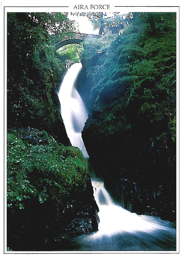 Aira Force A5 Greetings Cards