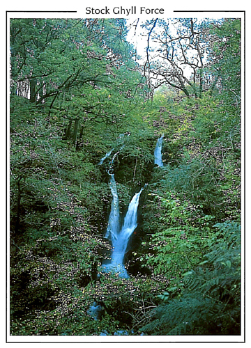 Stock Ghyll Force A5 Greetings Cards
