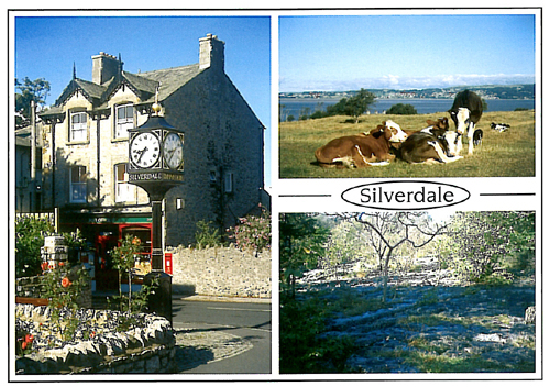Silverdale A5 Greetings Cards