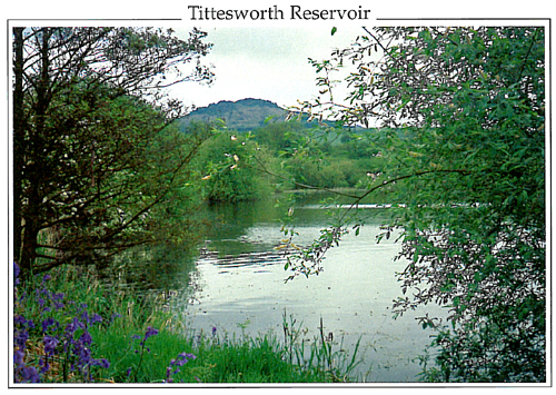 Tittesworth Reservoir A5 Greetings Cards