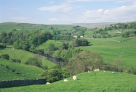 Ribblesdale BC Greetings Cards