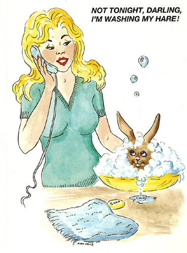 Not tonight darling, I'm washing my hare!  Postcards.