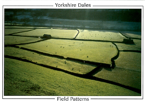 Yorkshire Dales (Swaledale field patterns, Gunnerside Bottoms) Postcards