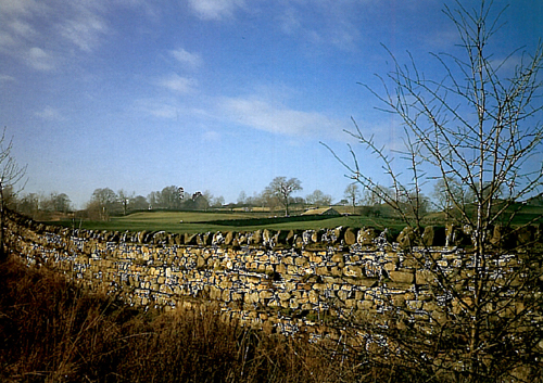 Dry Stone Wall, Wensleydale Postcards