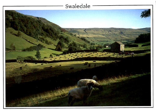 Swaledale Postcards