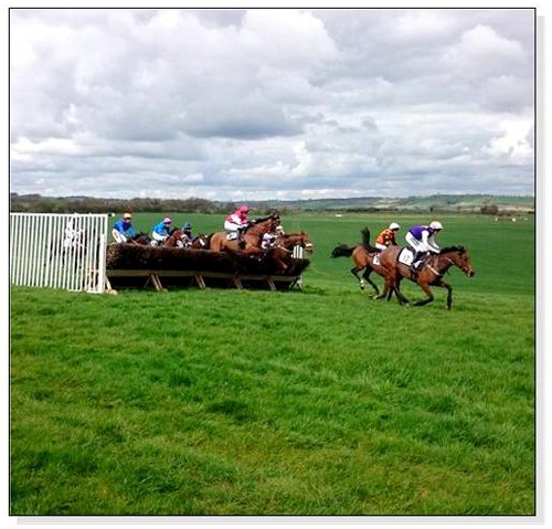 Horses Jumping at a Point to Point Square Cards