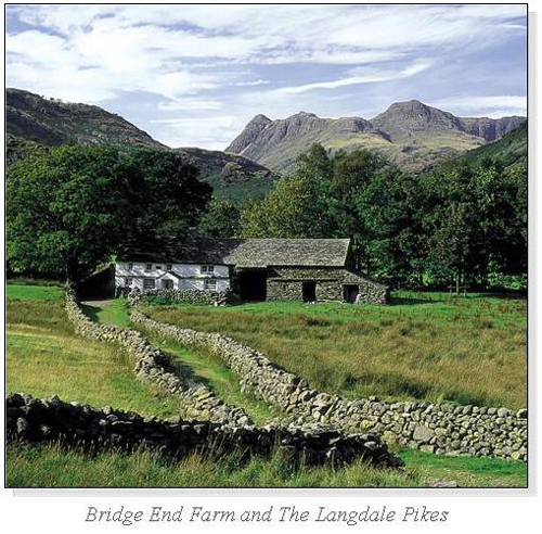 Bridge End Farm and The Langdale Pikes Square Cards