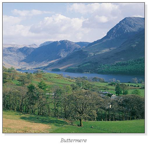 Buttermere Square Cards