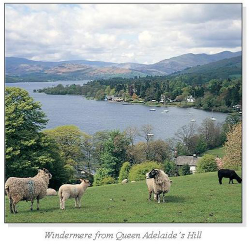 Windermere from Queen Adelaide's Hill Square Cards