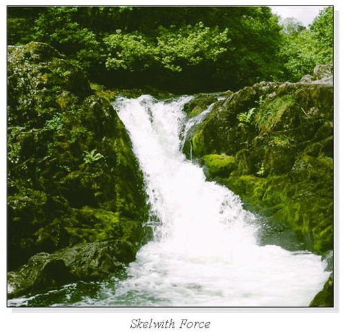 Skelwith Force Square Cards