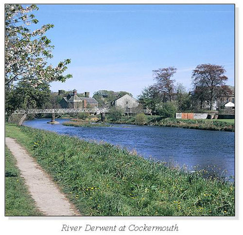 River Derwent at Cockermouth Square Cards