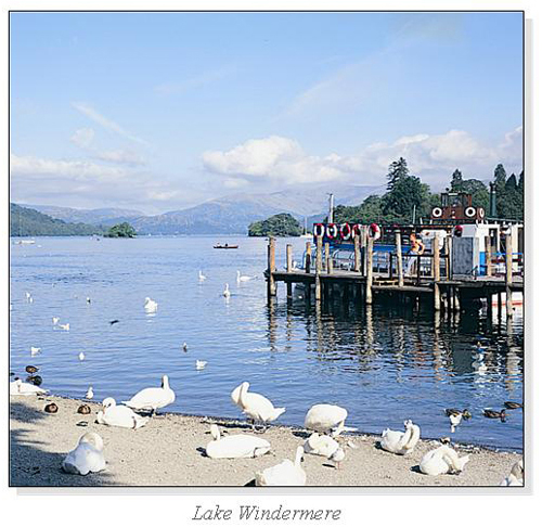 Lake Windermere Square Cards