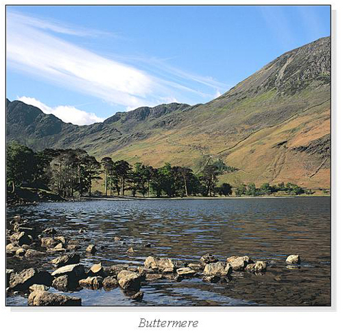 Buttermere Square Cards