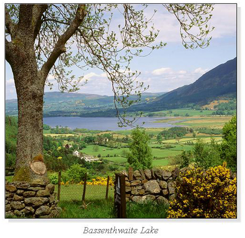 Bassenthwaite Lake Square Cards