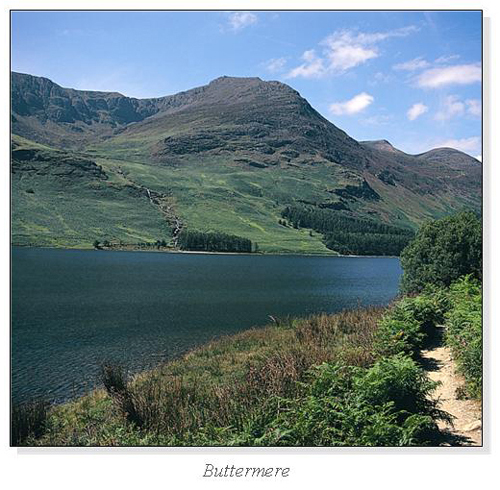 Buttermere Square Cards