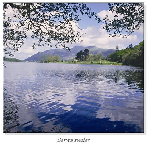 Derwentwater Square Cards