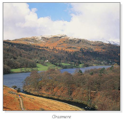 Grasmere Square Cards