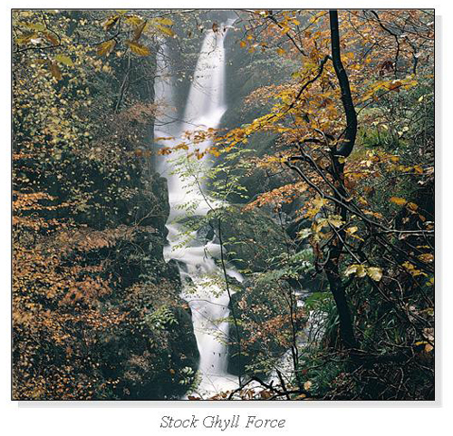 Stock Ghyll Force Square Cards