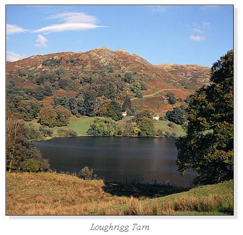 Loughrigg Tarn Square Cards