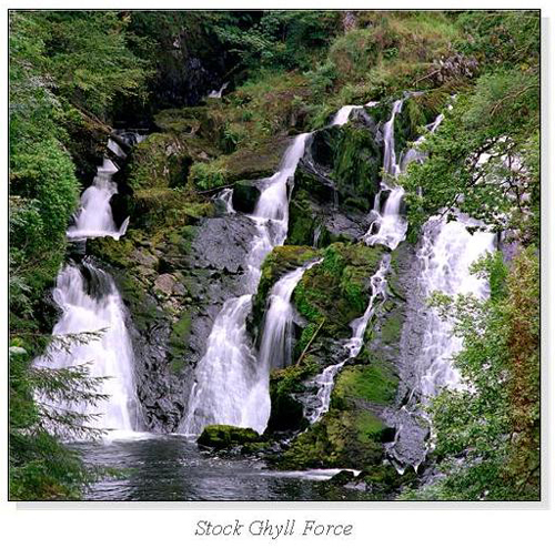 Stock Ghyll Force Square Cards