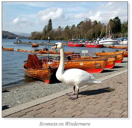 Bowness on Windermere Square Cards