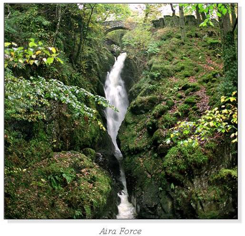 Aira Force Square Cards