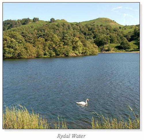 Rydal Water Square Cards