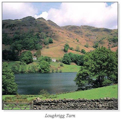 Loughrigg Tarn Square Cards