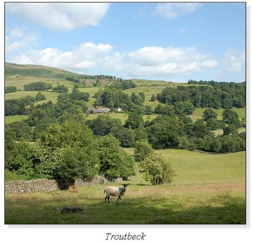 Troutbeck Square Cards