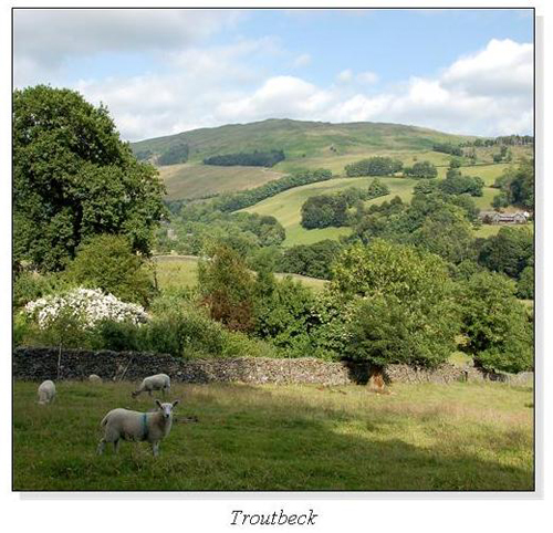 Troutbeck Square Cards