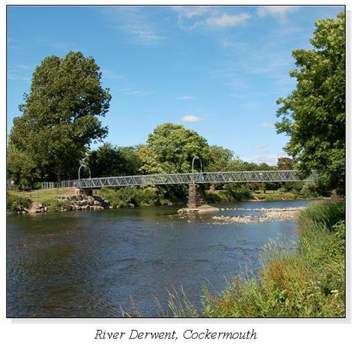 River Derwent, Cockermouth Square Cards