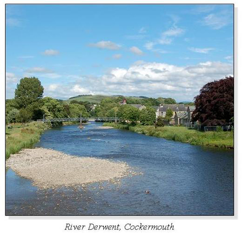 River Derwent, Cockermouth Square Cards