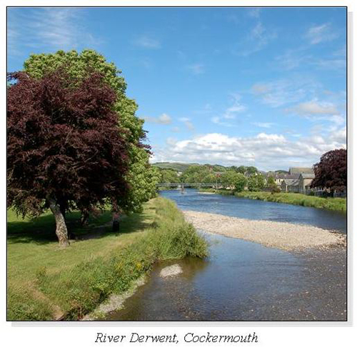 River Derwent, Cockermouth Square Cards