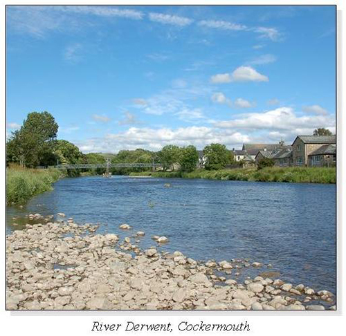 River Derwent, Cockermouth Square Cards