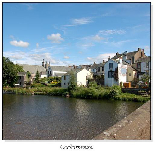 Cockermouth Square Cards