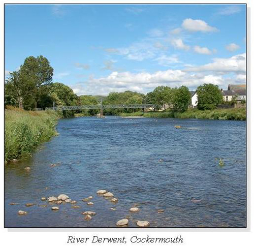 River Derwent, Cockermouth Square Cards