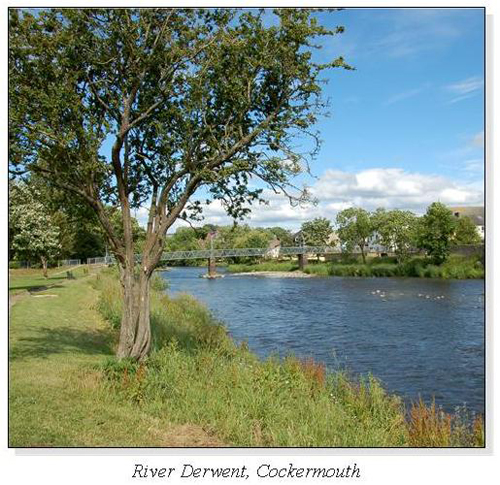 River Derwent, Cockermouth Square Cards