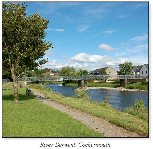 River Derwent, Cockermouth Square Cards