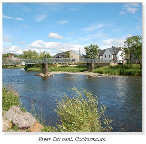 River Derwent, Cockermouth Square Cards