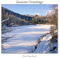 Yew Tree Tarn Christmas Square Cards