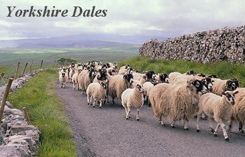 Yorkshire Dales Picture Magnets