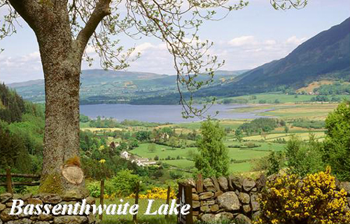 Bassenthwaite Lake Picture Magnets