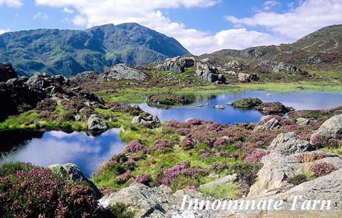 Innominate Tarn Picture Magnets