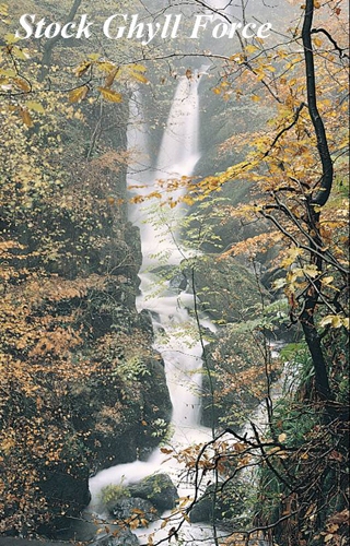 Stock Ghyll Force Picture Magnets