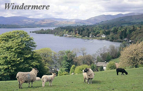 Windermere Picture Magnets