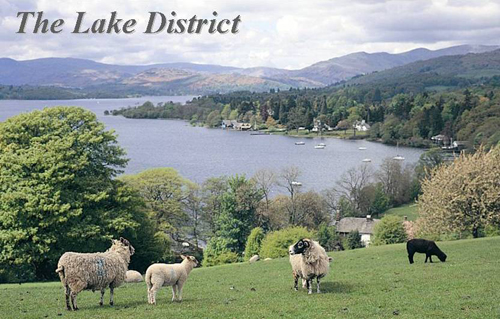 The Lake District Picture Magnets