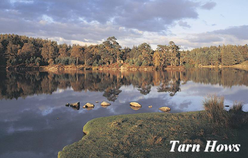 Tarn Hows Picture Magnets