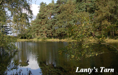 Lanty's Tarn Picture Magnets