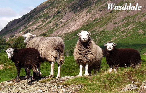 Wasdale Picture Magnets